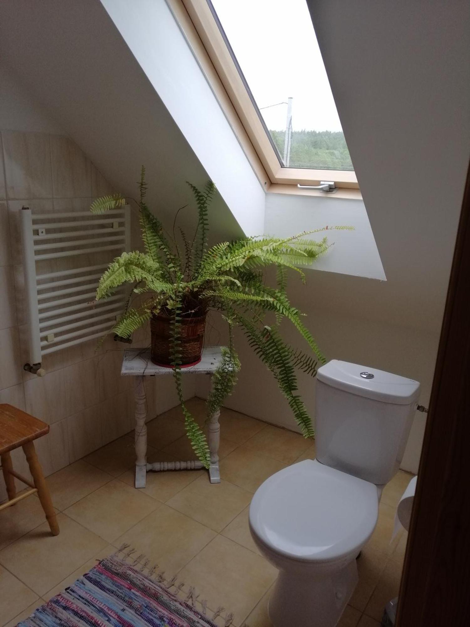 Agrojelonki Agroturystyka Gietrzwałd Zimmer foto