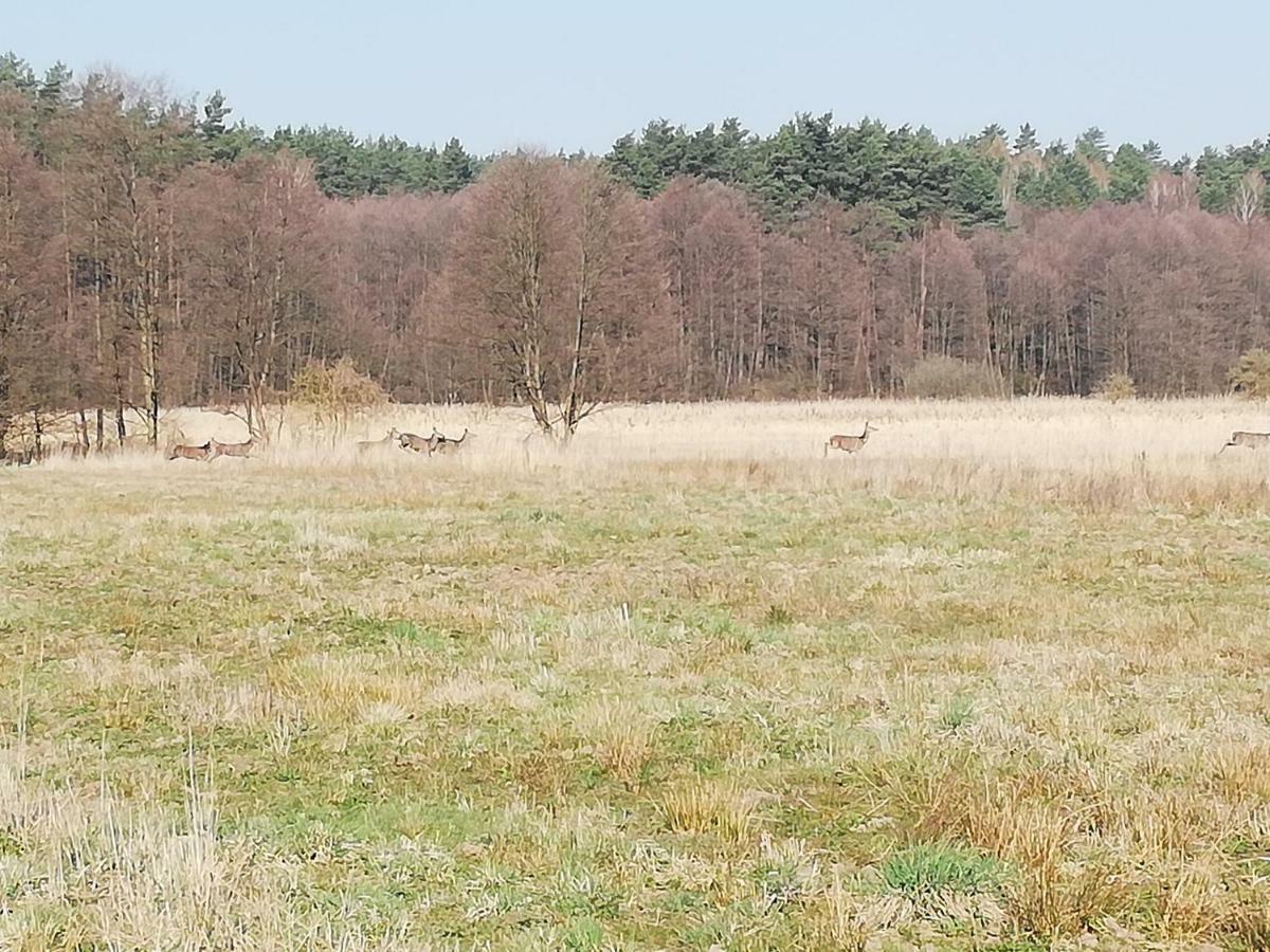Agrojelonki Agroturystyka Gietrzwałd Exterior foto